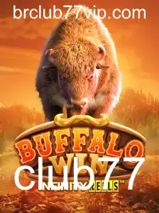 Descubra o Universo de BuffaloWin e o Fascinante Mundo de Club77